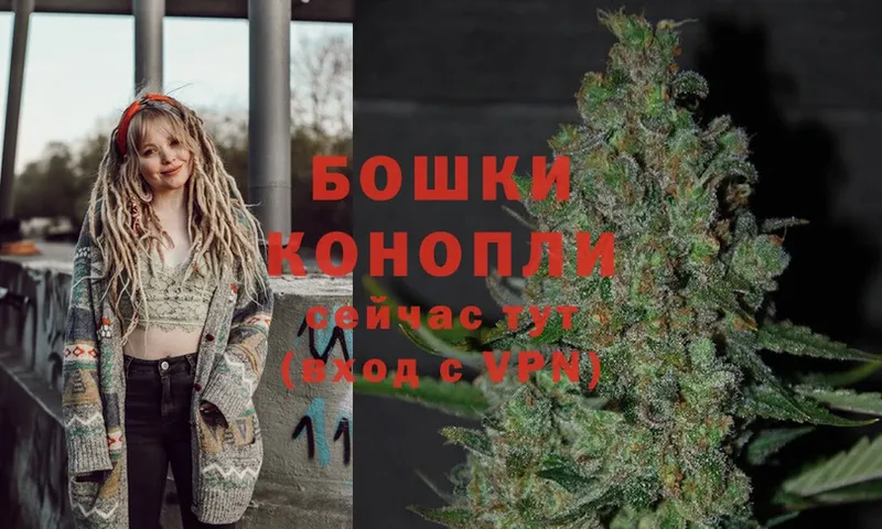 где можно купить   Курск  Бошки Шишки LSD WEED 